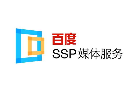 宝塔搭建蜘蛛池步骤详解