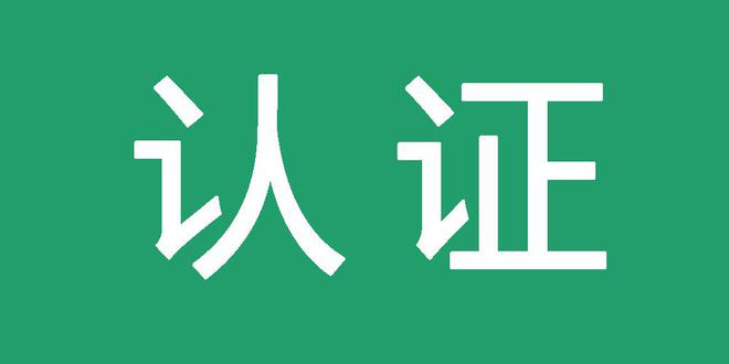 代发外推收录排名